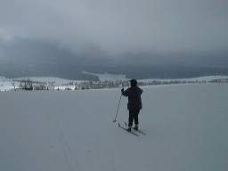 na plani nad horni blatnou.jpg